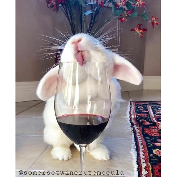 Bookmark 💜 - Picture 10 of 12